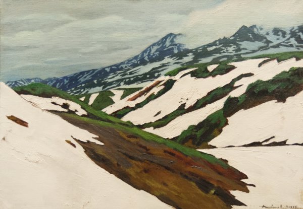 Анастасия Дашевская художник