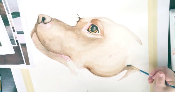 Рисунки акварелью стафы