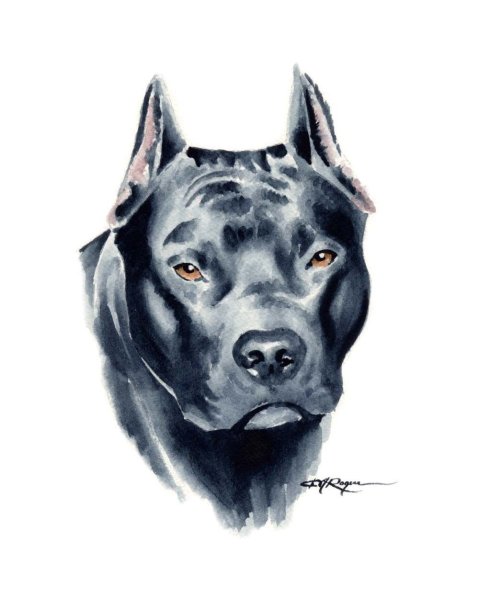 Стаффордширский терьер тату