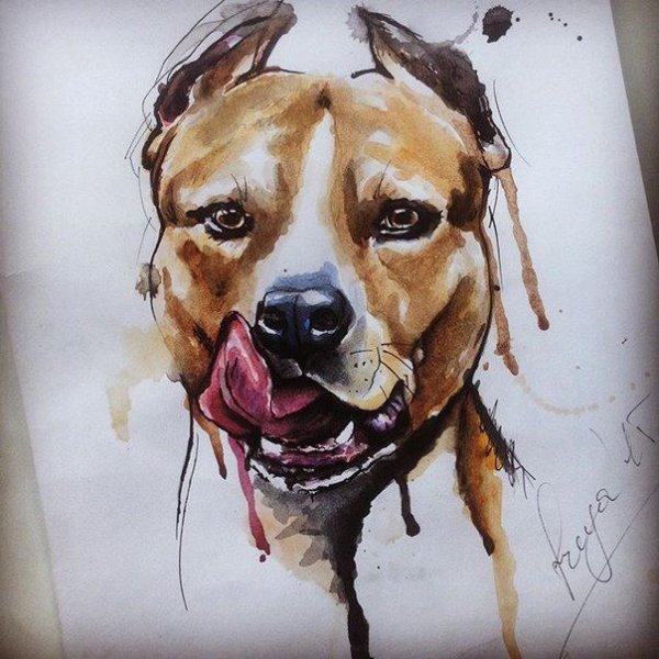 Питбуль акварель