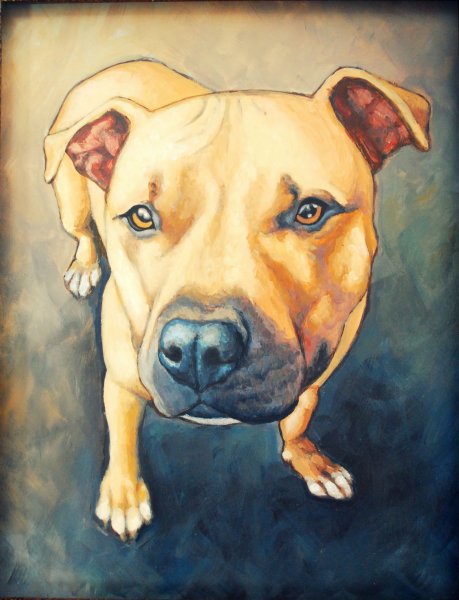 Стаффордширский терьер акварелью