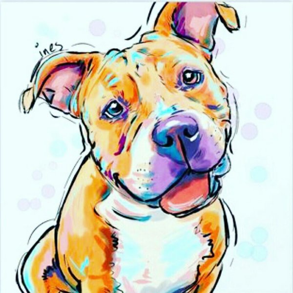 Рисунок амстаффа