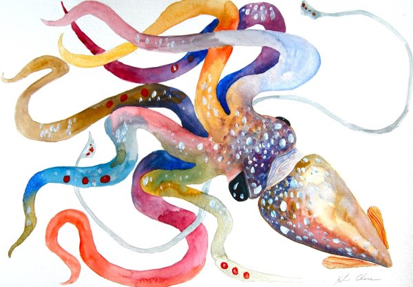 Кальмар акварель