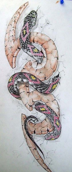Змея эскиз реализм