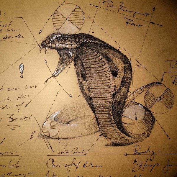 Кобра акварель