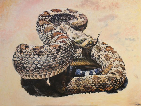 Змея маслом