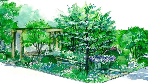 Скетчинг сада