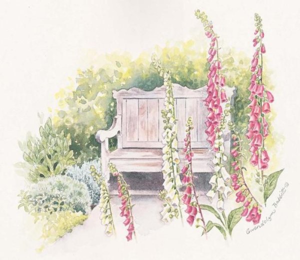 Сад рисунок акварелью