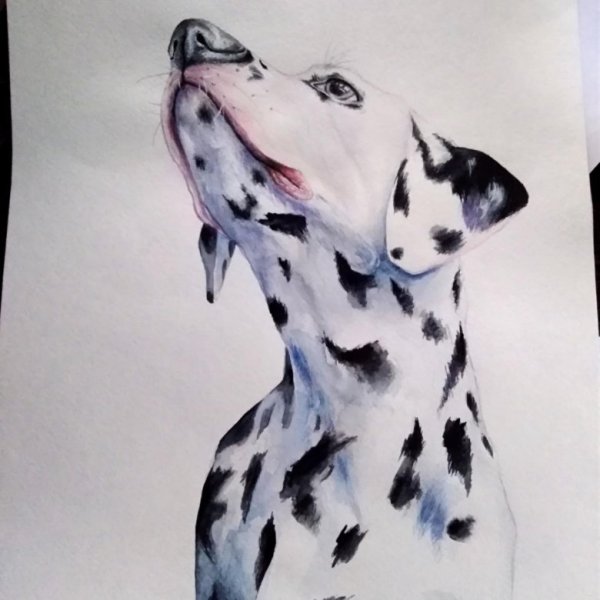 Далматин сюрреализм