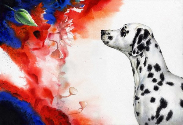 Далматинец акварелью