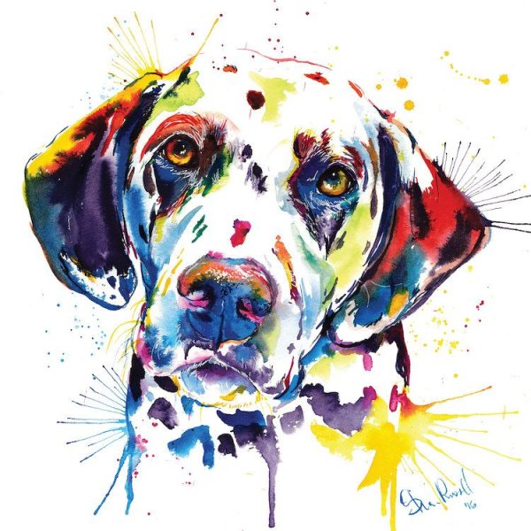 Далматинец рисунок броши гладью