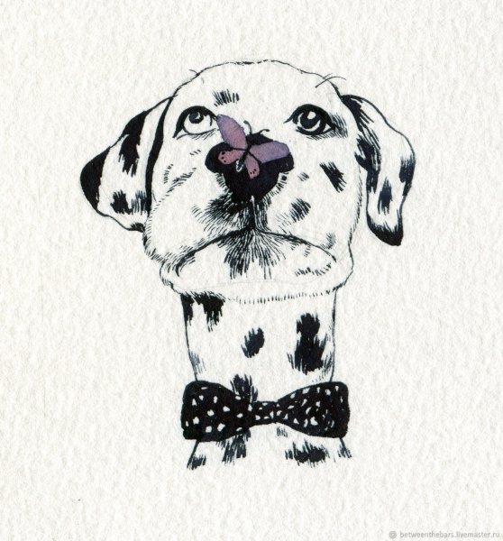 Далматинец акварелью