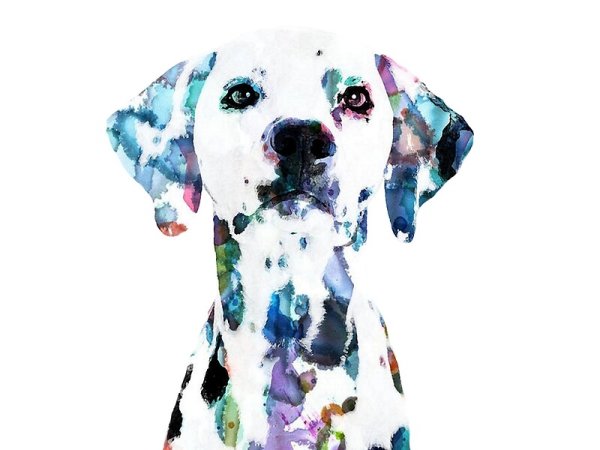 Кошка и собака акварель