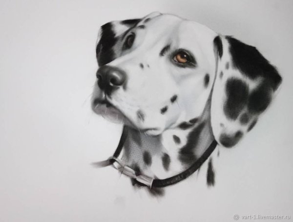 Милый щенок акварель