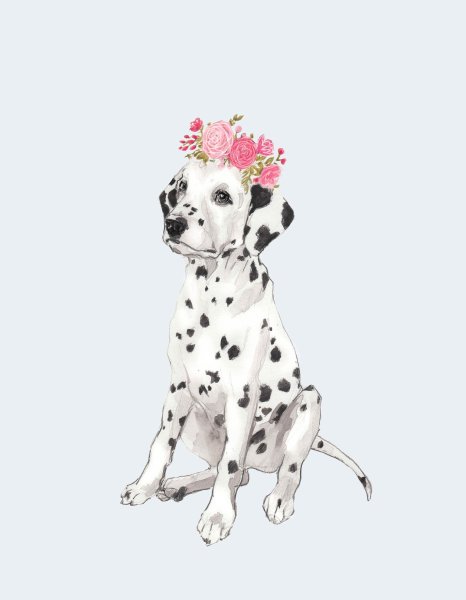 Далматинец акварелью поэтапно