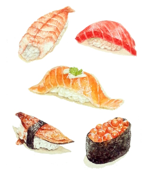 Фуд скетчинг суши