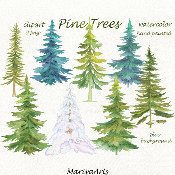 Новогодняя ель акварель