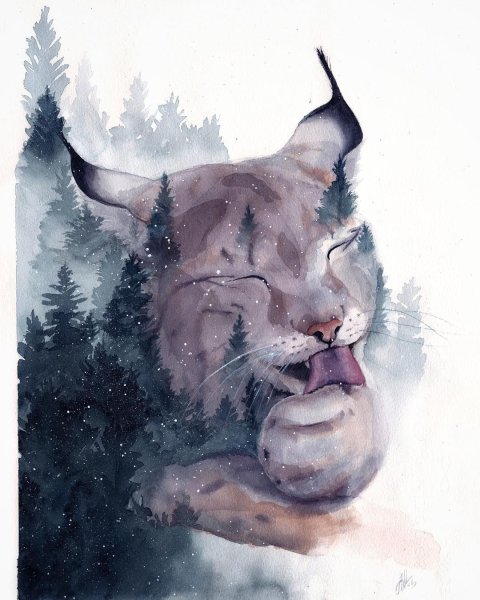 Морды животных акварелью