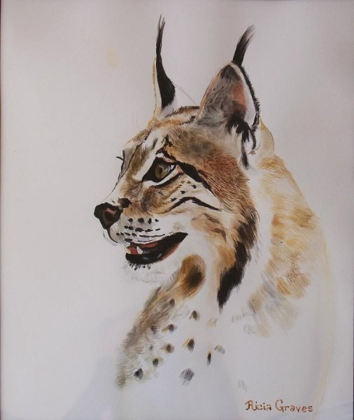 Тату Рысь акварель