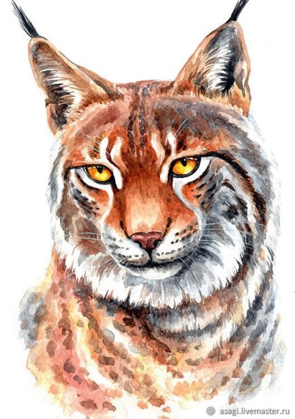 Рыся акварелью