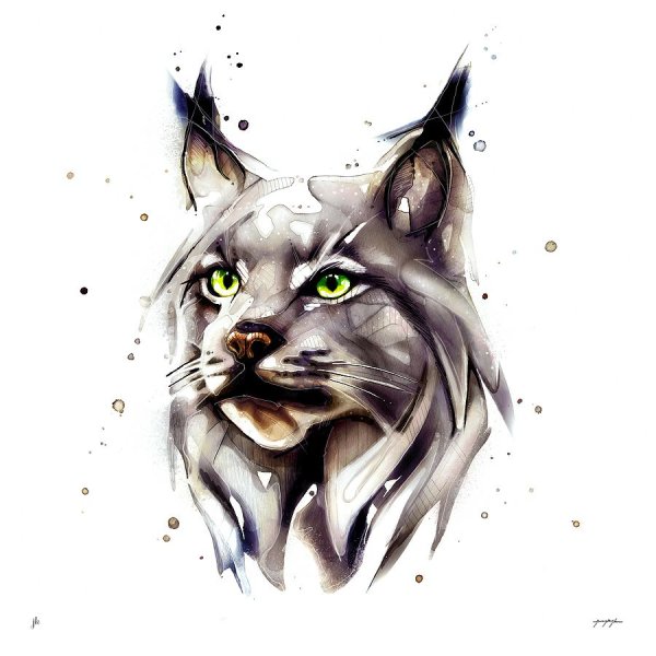 Рысь акварель