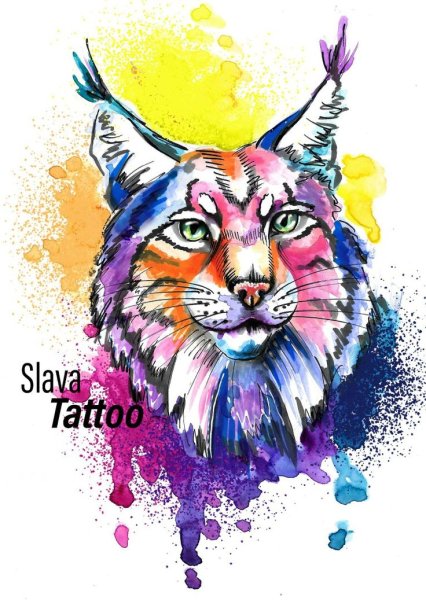 Рысь рисунок акварелью