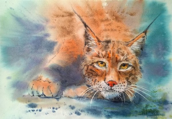 Рысь акварель