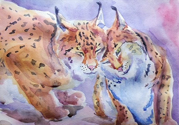 Рысь акварель