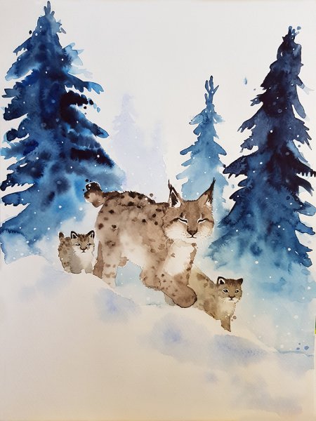 Медведь и Рысь акварелью рисунок