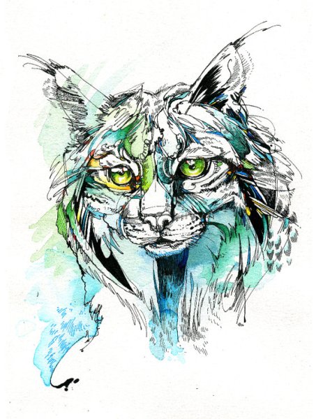 Тату Рысь Графика