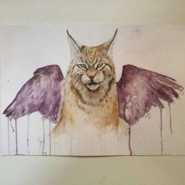 Акварель на белом листе Рысь