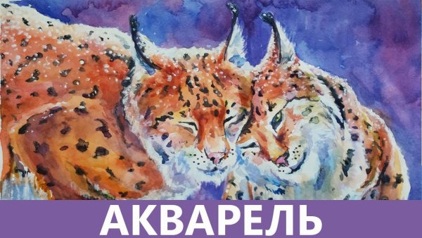 Рысь акварелью в голубом