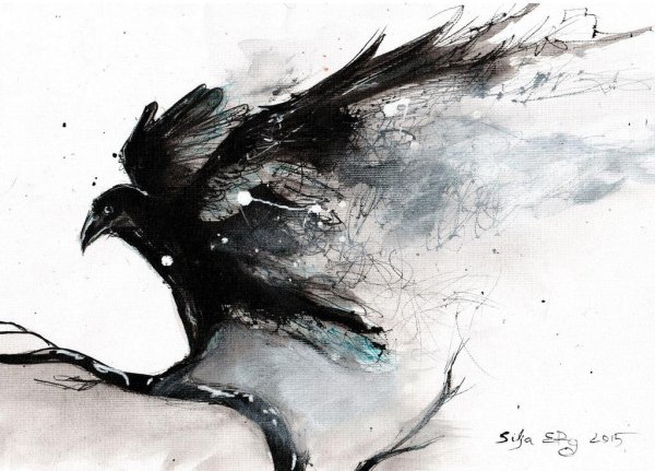 Вороны абстракция