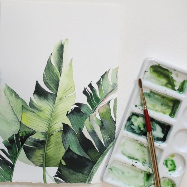 Акварельные цветы зеленые