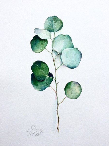 Акварель в зеленых тонах