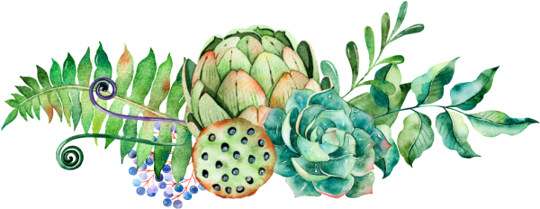 Flowers Watercolor артишок