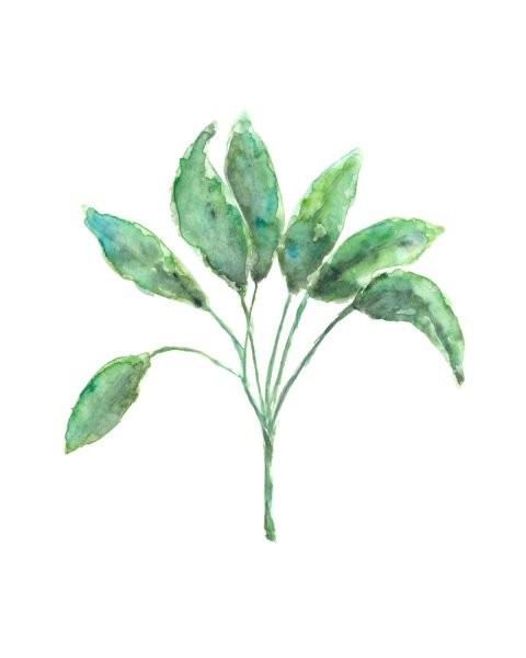 Акварельный пейзаж в круге