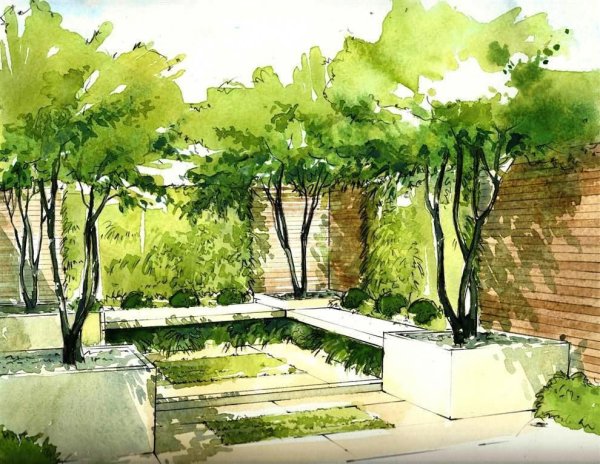 Татьяна Каманина ландшафтный Архитектор