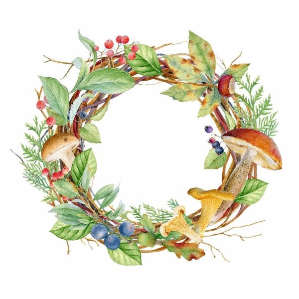 Венок акварель