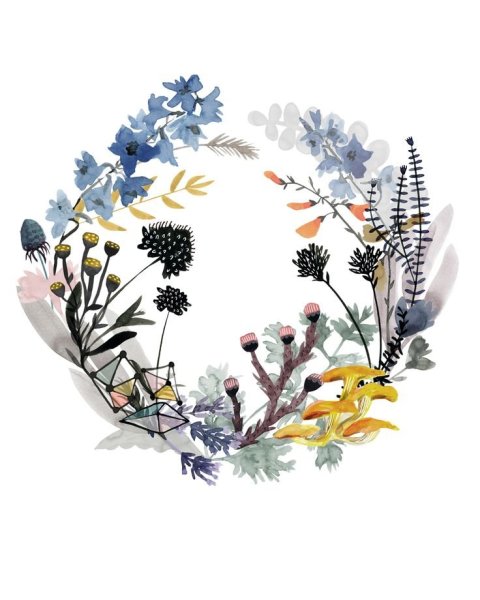 Травы венок акварель