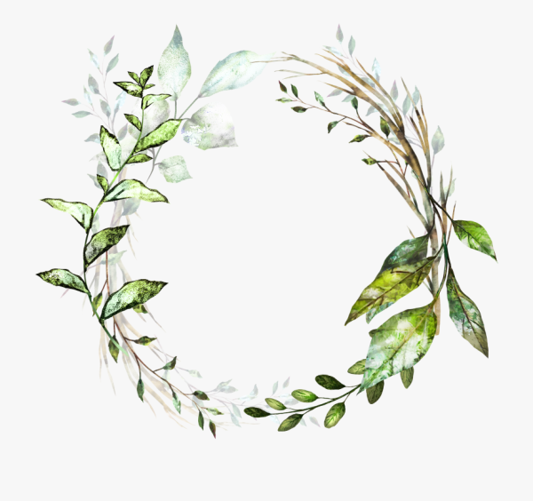 Акварельные веточки