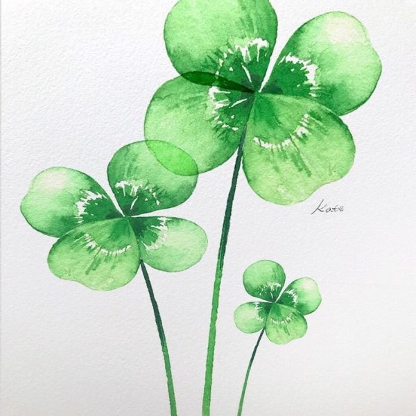 Клевер четырехлистный акварель