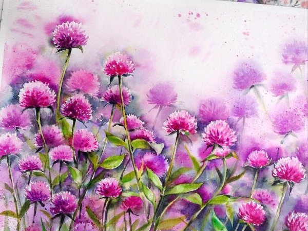 Клевер акварель