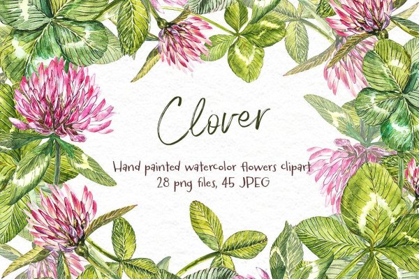 Клевер акварель на визитке
