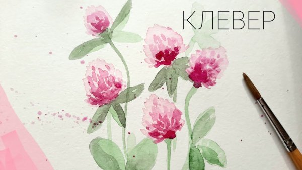 Красивые нарисованные Клевер акварелью на обои телефона