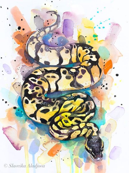 Змея акварелью