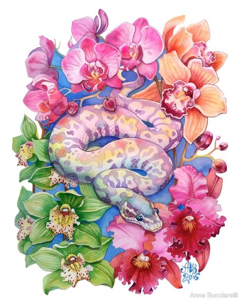 Змея в цветах арт