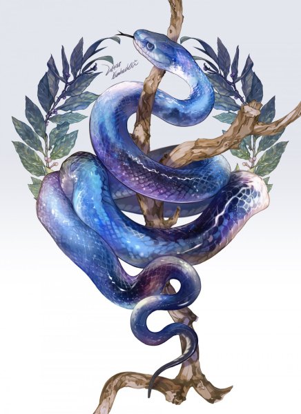 Змея арт
