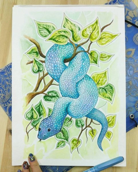 Рисунок змеи акварелью