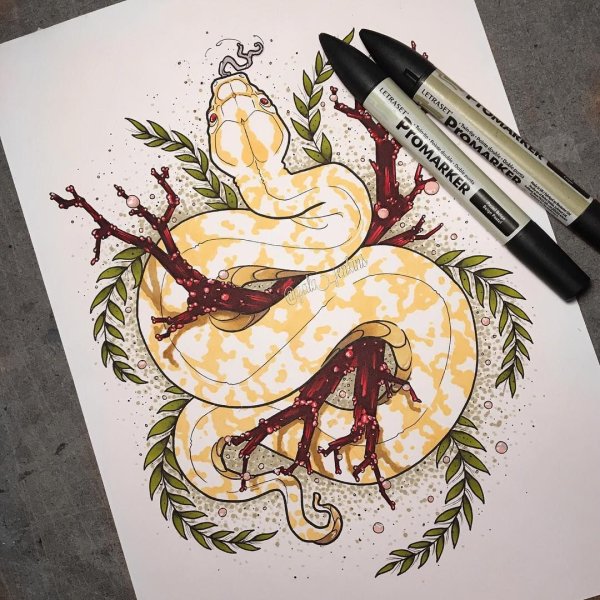 Змея маркерами